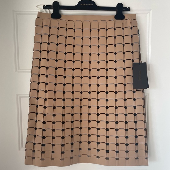 SOLD Bottega Veneta Vernis Satine Skirt - Picture 2 of 16